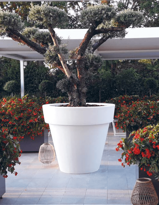 Complementi Complementi